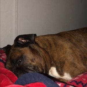 Meet your Posher, Kara